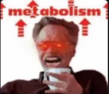 OranjeDisco