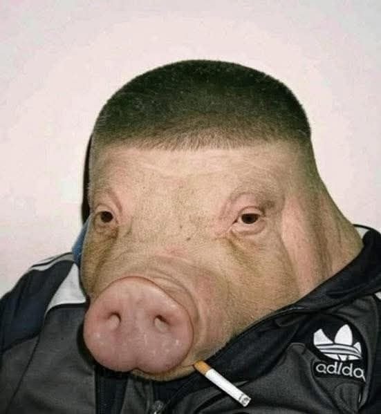 Neros